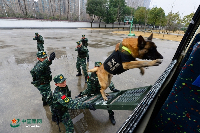 《 邯郸学步的故事 》 